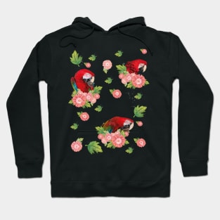 Aliverde Macaw Hoodie